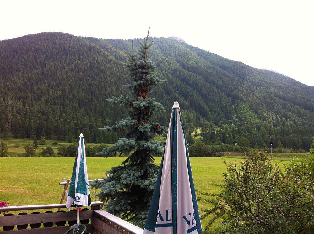 Hotel Pizzeria Selva Zernez Exteriér fotografie